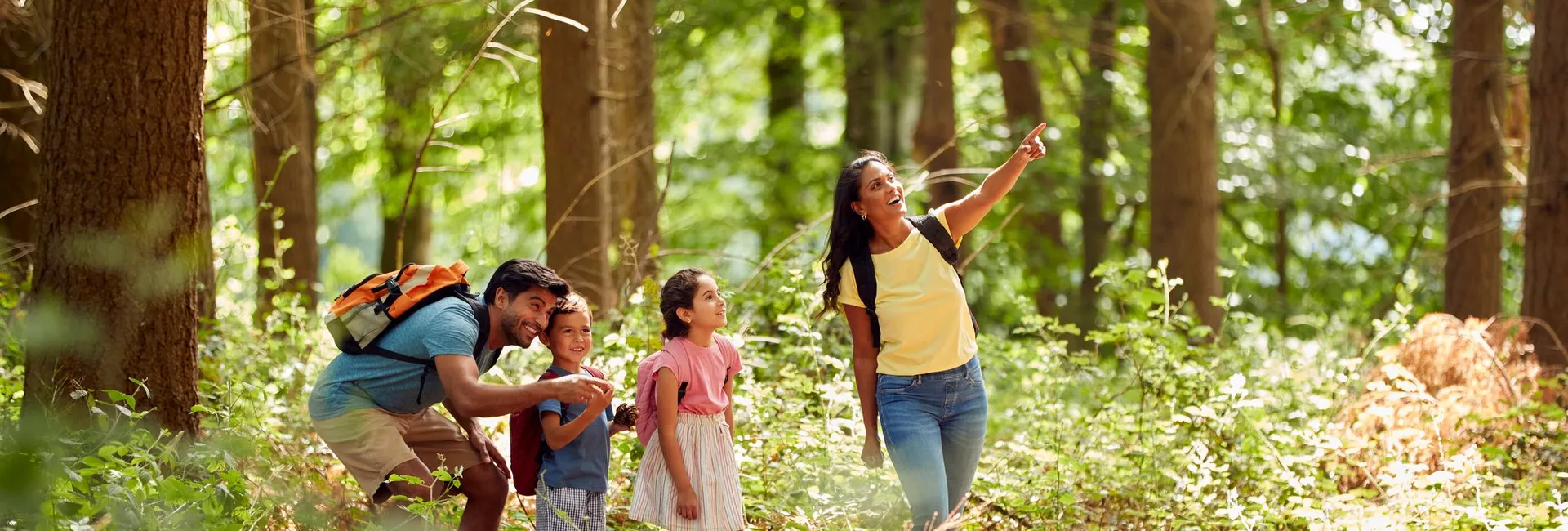 30 Fun Things to Do in Surrey for Families image
